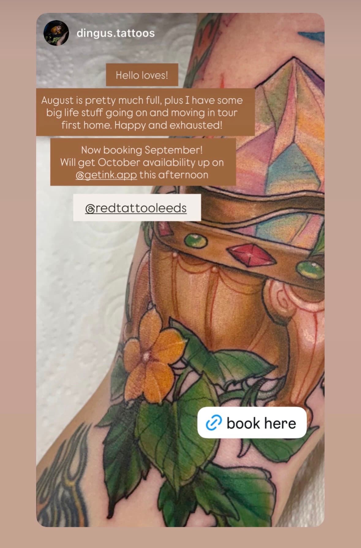 Instagram story example promoting a Get Ink booking link, from Dingus
